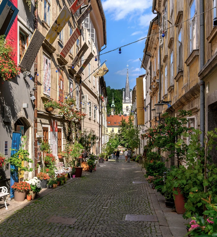 Narrow cobblestone street lined with historic buildings, plants and flowers in Ljubljana old town